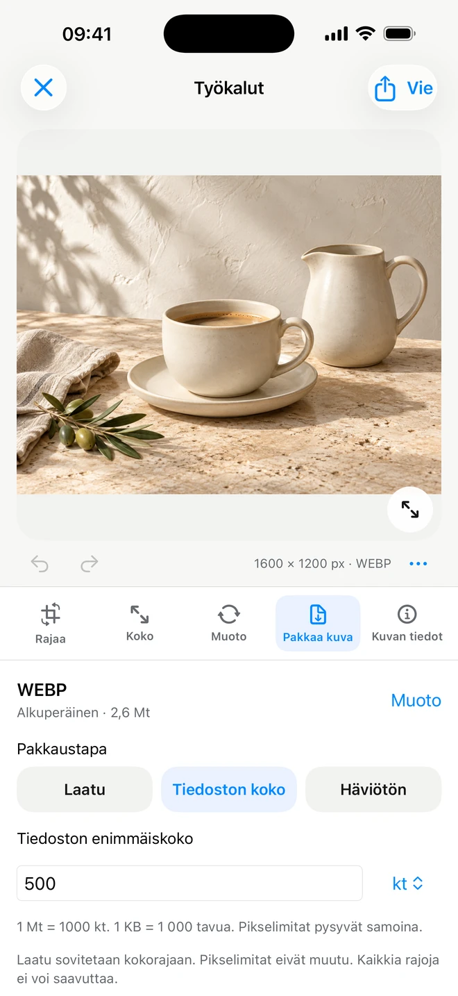 ItemShot iPhonessa — Muodot ja pakkaus